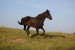 DSC_0246.JPG