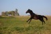 DSC_0264.JPG